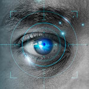 Imagem ilustrativa de Software biometrico